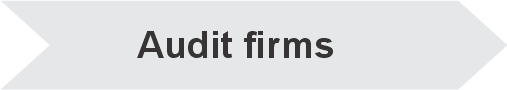 _0002_Audit-Firms